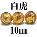 四神　白虎　スモーキークォーツ（金）　10mm　　　　品番： 8561
