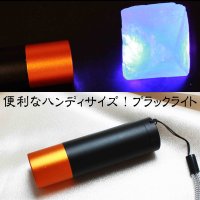 【必須アイテム！】電池式　ハンディサイズ　ブラックライト　　品番： 11309