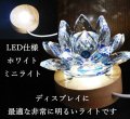 【セット割引】インテリア照明　LEDライト　ディスプレイ　ホワイトライト　ミニサイズ　10個セット　品番： 16971
