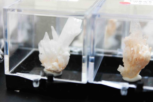 画像6: 置物　原石　中国雲南省産　カルサイト　ケース付　１個　品番： 11015