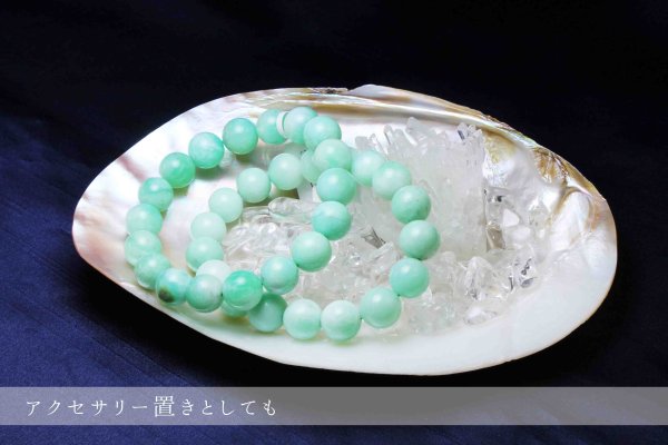 画像6: イケチョウ貝　シェル　さざれ　お皿　10×15cm　　品番： 10908