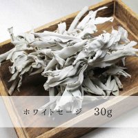 浄化　ホワイトセージ　約30g　カリフォルニア州産　品番： 8120