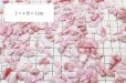 画像2: さざれ　ピンクオパール　オリジナルパッケージ付　100gパック　品番： 6890 (2)
