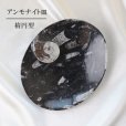 画像1: アンモナイト　皿　楕円型　インテリア　化石　ディスプレイ　浄化　約17x14cm　品番： 12411 (1)