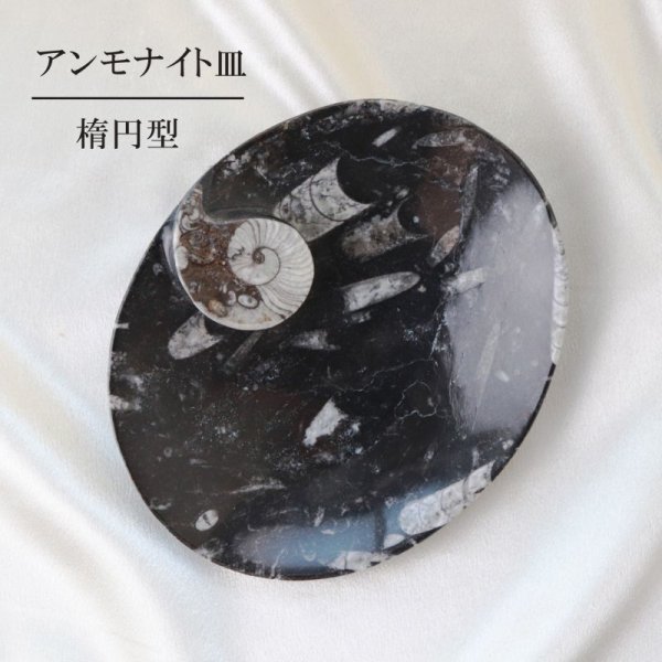 画像1: アンモナイト　皿　楕円型　インテリア　化石　ディスプレイ　浄化　約17x14cm　品番： 12411