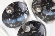 画像4: アンモナイト　皿　楕円型　インテリア　化石　ディスプレイ　浄化　約17x14cm　品番： 12411 (4)
