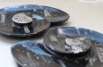 画像3: アンモナイト　皿　アンモナイト型　インテリア　化石　ディスプレイ　浄化　約16.5x14cm　品番： 12408 (3)