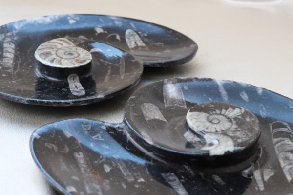 画像3: アンモナイト　皿　アンモナイト型　インテリア　化石　ディスプレイ　浄化　約16.5x14cm　品番： 12408
