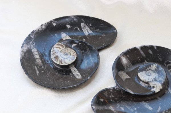 画像4: アンモナイト　皿　アンモナイト型　インテリア　化石　ディスプレイ　浄化　約16.5x14cm　品番： 12408