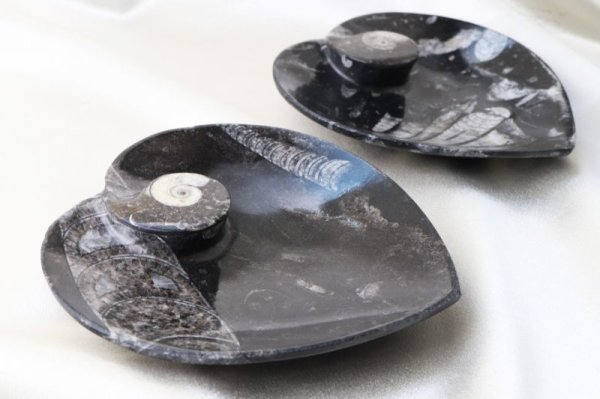 画像4: アンモナイト　皿　ハート型　インテリア　化石　ディスプレイ　浄化　約16x20cm　品番： 12412