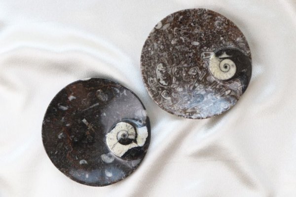 画像5: アンモナイト　小皿　丸型　インテリア　化石　ディスプレイ　浄化　直径約10.5cm　品番： 12409