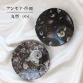 アンモナイト　小皿　丸型　インテリア　化石　ディスプレイ　浄化　直径約10.5cm　品番： 12409