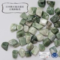 【4/30までクーポン使用で20%OFF（クーポン番号：SC240401）】【日本銘石】さざれ　日高翡翠　〈北海道日高町〉　100g　パッケージ付き　知惠　長寿　飛躍　※ポイント付与対象外　品番：　12427