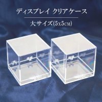 ディスプレイ　鉱物用クリアケース　大　約5x5cm　1個　プラスチック　透明　保管　品番： 12622