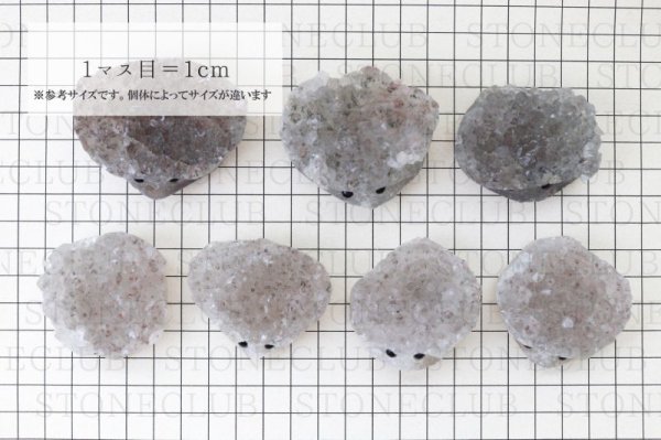 画像6: 置物　アメジスト　ハリネズミ　グレー　紫水晶　原石　癒し　浄化　インテリア　彫り物　2月の誕生石・誕生木　品番： 12679