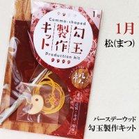 【バースデーウッド】勾玉製作キット　1月の誕生木　松（まつ）　日本製　荘厳　永遠　繁栄　パワーズウッド　品番：12809