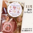 画像1: 【バースデーウッド】勾玉製作キット　11月の誕生木　銀杏（いちょう）　日本製　長寿　聡明　復活　パワーズウッド　品番：12819 (1)