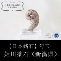 【日本銘石】勾玉　姫川薬石　〈新潟県〉　クリーム　大　約30×20mm　健康　安眠　治癒力アップ　品番：12822