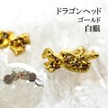 ドラゴンヘッド　ゴールド　白眼　10個セット　品番： 12903
