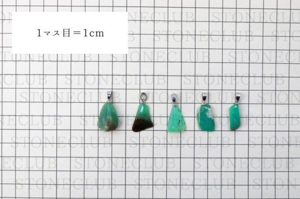 画像5: ペンダントトップ　クリソプレーズ　緑　希望　幸福　勝利　守護石　お守り　品番：13013