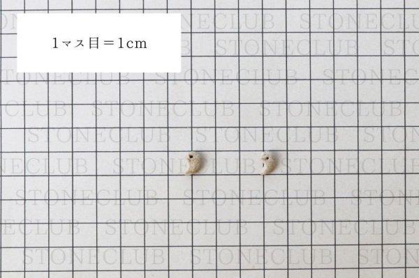 画像4: 【日本銘石】勾玉　タツナイト　〈兵庫県〉　イエロー　黄　極小　約10×7×4mm　健康　安産　縁結び　品番：13035