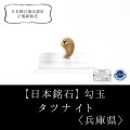 【日本銘石】勾玉　タツナイト　〈兵庫県〉　イエロー　黄　極小　約10×7×4mm　健康　安産　縁結び　品番：13035