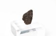 画像2: 【隕石】Tassedet001　普通コンドライトH5　サハラ砂漠産　2006年　品番：13056 (2)