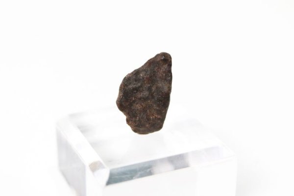 画像2: 【隕石】Tassedet001　普通コンドライトH5　サハラ砂漠産　2006年　品番：13056