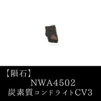 【隕石】NWA4502　炭素質コンドライトCV3　アルジェリア産　2005年　品番：13061