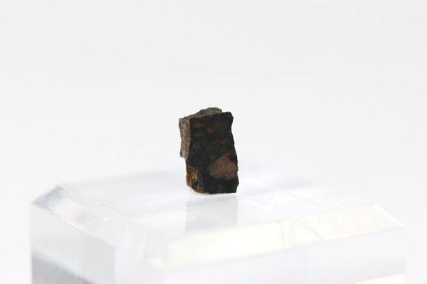画像2: 【隕石】NWA4502　炭素質コンドライトCV3　アルジェリア産　2005年　品番：13061