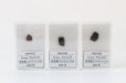 画像5: 【隕石】NWA4502　炭素質コンドライトCV3　アルジェリア産　2005年　品番：13061 (5)