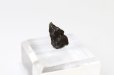 画像2: 【隕石】シホテアリニ隕石　IIABオクタヘドライト　ロシア産　1947年02月12日　品番：13065 (2)