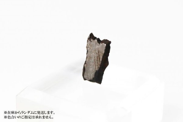 画像3: 【隕石】南丹隕石　IABオクタへドライト　中国産　1516年　品番：13058