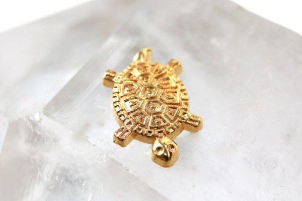 画像3: お財布銭亀　金亀　きんかめ　開運　幸運　財運　健康　長寿　財産　強化　お守り　品番：13169