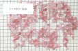 画像4: さざれ　ディープローズクォーツ　100g　パッケージ付き　浄化　美　愛　恋愛　優しさ　自己肯定　品番：13176 (4)