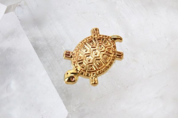 画像4: お財布銭亀　金亀　きんかめ　開運　幸運　財運　健康　長寿　財産　強化　お守り　品番：13169