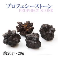 原石　プロフェシーストーン　約20gから29g　1個　サハラ砂漠産　オリジナルパッケージ付　予言石　レア　品番：13770