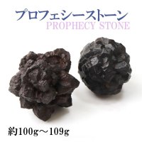 原石　プロフェシーストーン　約100gから109g　1個　サハラ砂漠産　オリジナルパッケージ付　予言石　レア　品番：13778