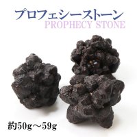 原石　プロフェシーストーン　約50gから59g　1個　サハラ砂漠産　オリジナルパッケージ付　予言石　レア　品番：13773