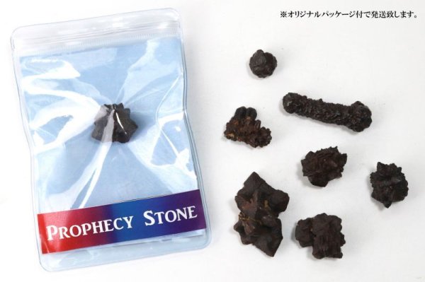 画像7: 原石　プロフェシーストーン　約10gから19g　1個　サハラ砂漠産　オリジナルパッケージ付　予言石　レア　品番：13779