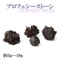 原石　プロフェシーストーン　約10gから19g　1個　サハラ砂漠産　オリジナルパッケージ付　予言石　レア　品番：13779