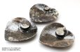 画像6: アンモナイト　小皿　ハート型　インテリア　化石　ディスプレイ　浄化　約11x11cm　1枚　品番： 14244