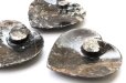 画像5: アンモナイト　小皿　ハート型　インテリア　化石　ディスプレイ　浄化　約11x11cm　1枚　品番： 14244