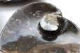 画像2: アンモナイト　小皿　ハート型　インテリア　化石　ディスプレイ　浄化　約11x11cm　1枚　品番： 14244 (2)