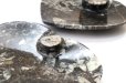 画像3: アンモナイト　小皿　ハート型　インテリア　化石　ディスプレイ　浄化　約11x11cm　1枚　品番： 14244