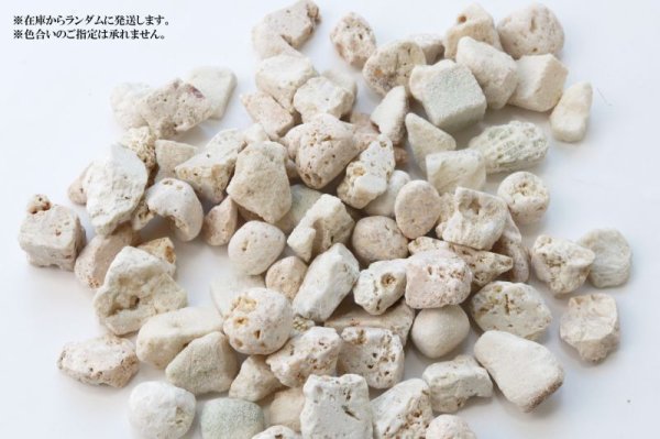 画像4: 【日本銘石】さざれ　琉球石　〈沖縄県〉　約100g　パッケージ付き　精神と肉体エネルギーの復活　魔除け　浄化　品番：14280