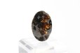画像2: 【隕石】セリコ隕石　パラサイト　ケニア産　2017年08月03日　品番：13066 (2)