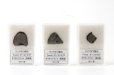 画像4: 【隕石】マンドラビラ隕石　オクタヘドライト（異常種）　オーストラリア産　1911年　品番：13068 (4)