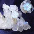 ブレス　ムーンストーン　梅花　スリランカ産　人間の情緒　社交性　喜び　天然石　品番： 14836