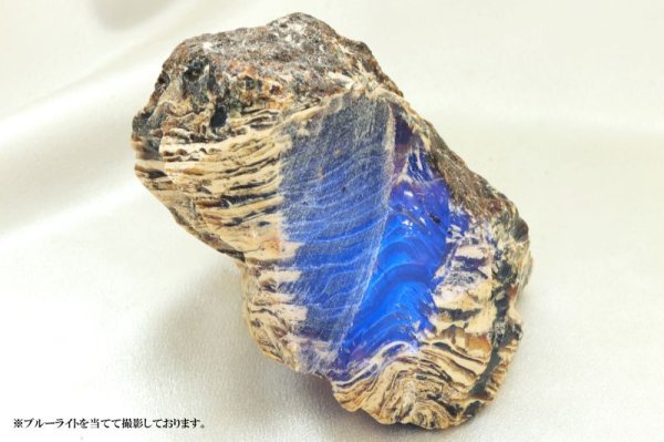 画像8: 原石　タイガーアンバー　スマトラ産　希少　変化　変容　置物　天然石　品番： 14994